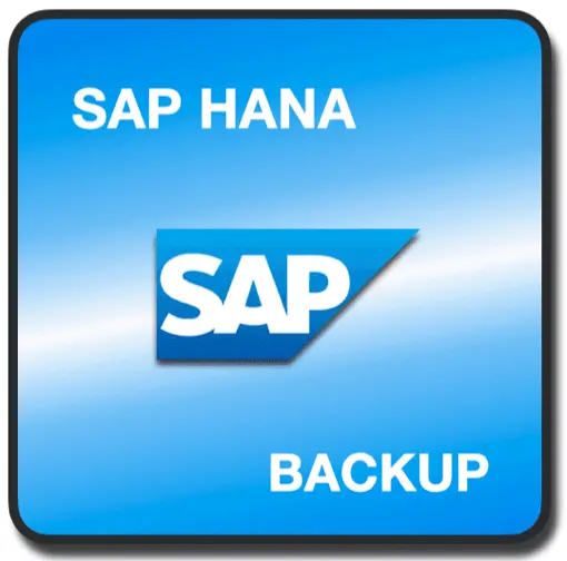 SAP HANA Backup